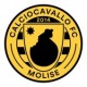 CALCIOCAVALLO F.C. MOLISE