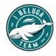 I BELUGA