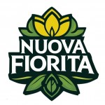 NUOVA FIORITA